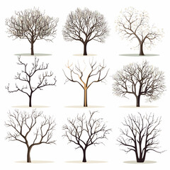 Vector winter bare tree collection