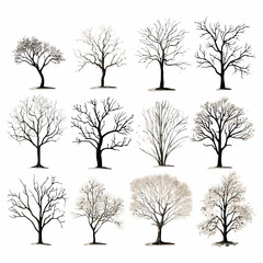 Vector winter bare tree collection