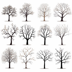 Vector winter bare tree collection