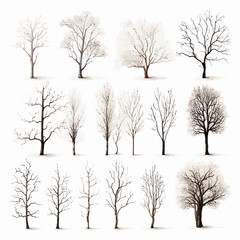 Vector winter bare tree collection