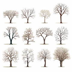 Vector winter bare tree collection