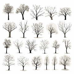 Obraz premium Vector winter bare tree collection