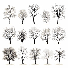 Obraz premium Vector winter bare tree collection