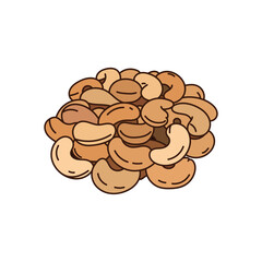Kids drawing vector Illustration cashews in a cartoon style Isolated on White Background
