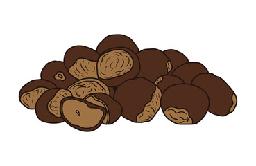 Kids drawing vector Illustration chestnuts in a cartoon style Isolated on White Background