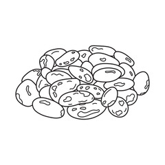 Hand drawn Kids drawing vector Illustration cacao beans in a cartoon style Isolated on White Background