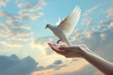 A pair of hands releasing a white dove into the sky, against a backdrop of soft clouds, representing peace, the Holy Spirit, and freedom. - obrazy, fototapety, plakaty