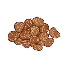 Kids drawing vector Illustration saba nuts in a cartoon style Isolated on White Background