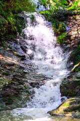 美しい新緑の季節の滝｜太戸の滝