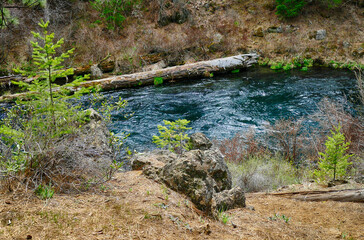 Headwaters of the Metolius River.