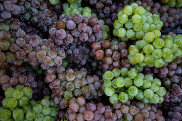 Fresh Green and Red Grape to sale on supermarket.