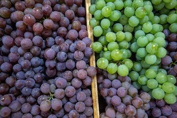 Fresh Green and Red Grape to sale on supermarket.