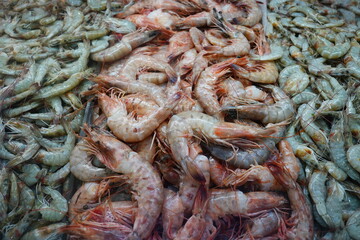Peixeis Frutos do Mar Camarão