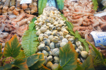 Maricso Peixeis Frutos do Mar 