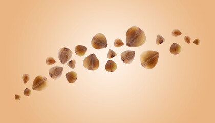 Buckwheat flying on light orange background. Grains in air, banner design
