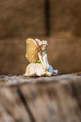 angel on a wooden background
