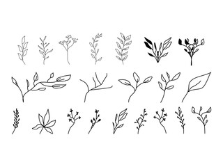 Set botanical hand drawn vector element. leaf branch, floral, illustration design for logo, wedding, invitation