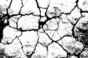 abstract soil crack texture background