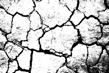 abstract cracked soil texture background. isolated on white background