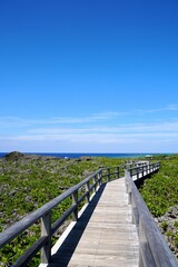Fototapeta na wymiar Landscape of Tori Ike, Shimoji Island- Okinawa