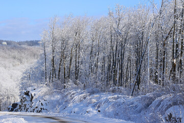 Winter landscape after a snow storm eastern township Quebec Canada
