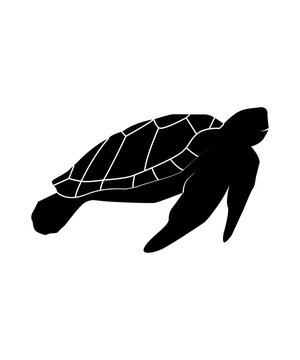  turtle silhouettes vector illustration