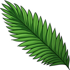 Palm leaf cartoon style on transparent background. Close-up view. Part of plant, Generative AI