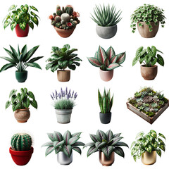 Assorted Indoor Potted Plants Collection on Transparent Background PNG, Ideal for Home Decor and...