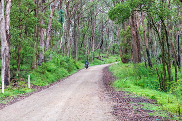 Photograph of a motorcycle riding along a dirt road surrounded by large green trees recovering from...