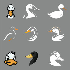 Fototapeta premium set of duck vector element design, happy, graphic, goose, girl, fun, float, farm, element, ducky, duckling, duck, drawing, design, cute, childhood, child, cartoon, black, bird, beautiful, beak