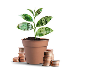 carbon credit concept, eco business