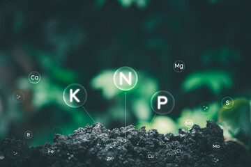 Fertile soil contains nitrogen, phosphorus, potassium, and other components which are various...