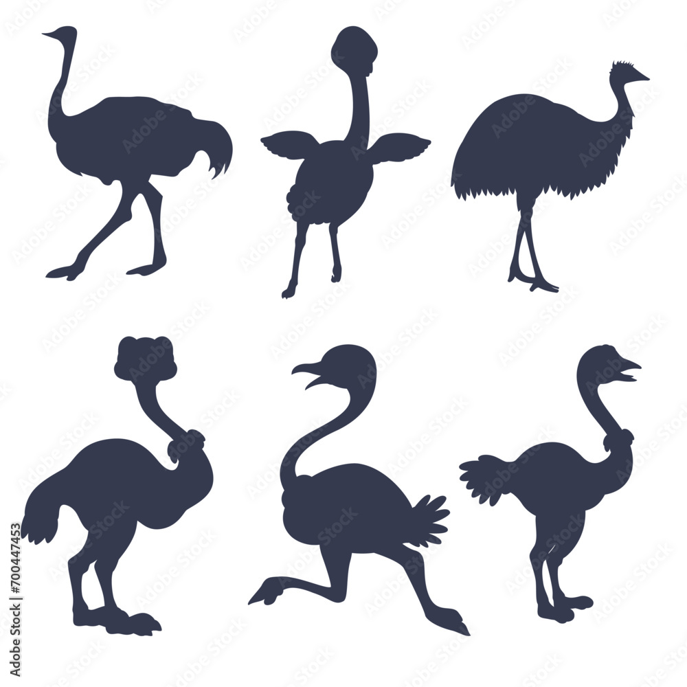 Poster ostrich silhouettes on white background. vector illustration.