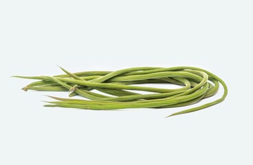 Drumstick Fruit or Moringa Oleifera Fruit Isolated on White Background, Also Known as Horseradish...