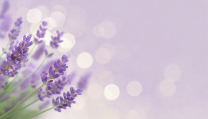 Lavender floral background with copy space for text