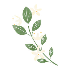 小花のイラスト素材、アイコン、水彩風