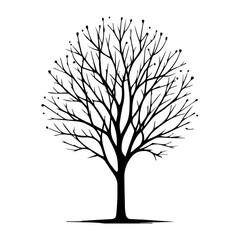 minimal Naked Tree Silhouette vector silhouette, black color silhouette, white background
