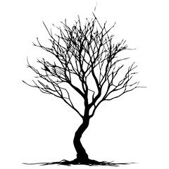 minimal Naked Tree Silhouette vector silhouette, black color silhouette, white background