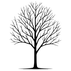 minimal Naked Tree Silhouette vector silhouette, black color silhouette, white background