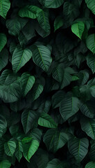 green leaves nature background, closeup leaves texture, tropical leaves, seamless pattern template