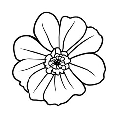 Hand drawn simple flower illustration