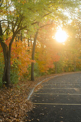 Empty parking lot with colorful autumn leaves and sunshine