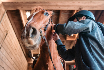 Low angle of young boy putting bridle on horse indoors