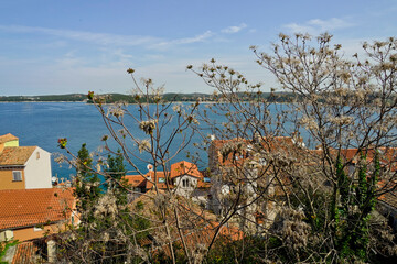 Borgo marinaio di Rovigno, Istria. Croazia