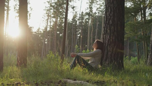 Upset lady sits leaning on tree bark in woods at sunset. Young woman thinks about psychology sessions to cope with problems. Calm evening in nature