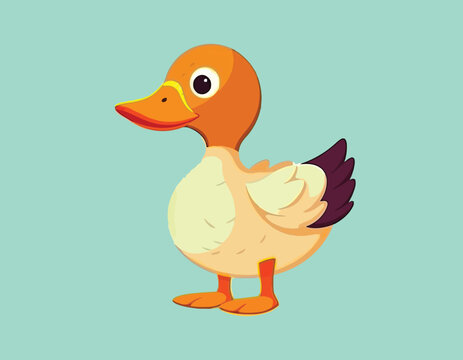 white duck vector on a isolated background , cartoon design