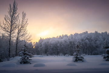 Cold and Foggy Sunrise