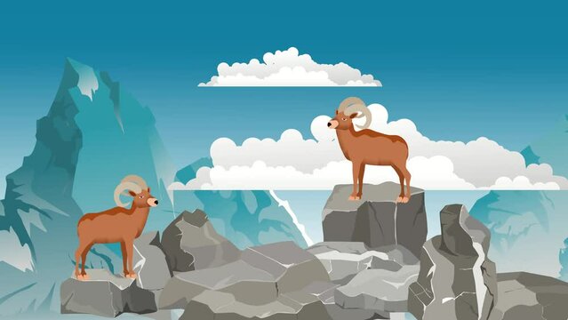 mountains goats sheeps on mountains 2d cartoon animation