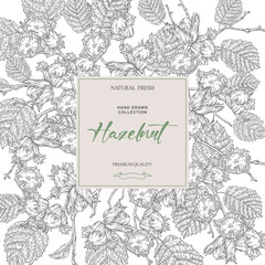 Hazelnut background. Hand drawn hazel tree plant with nuts and leaves. Vector illustration engraved.