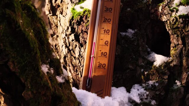 A meteorology thermometer shows 0 degrees Celsius, a low cold temperature amidst December Christmas celebration and cool snowy winter weather season, placed on the white snow on a brown tree.